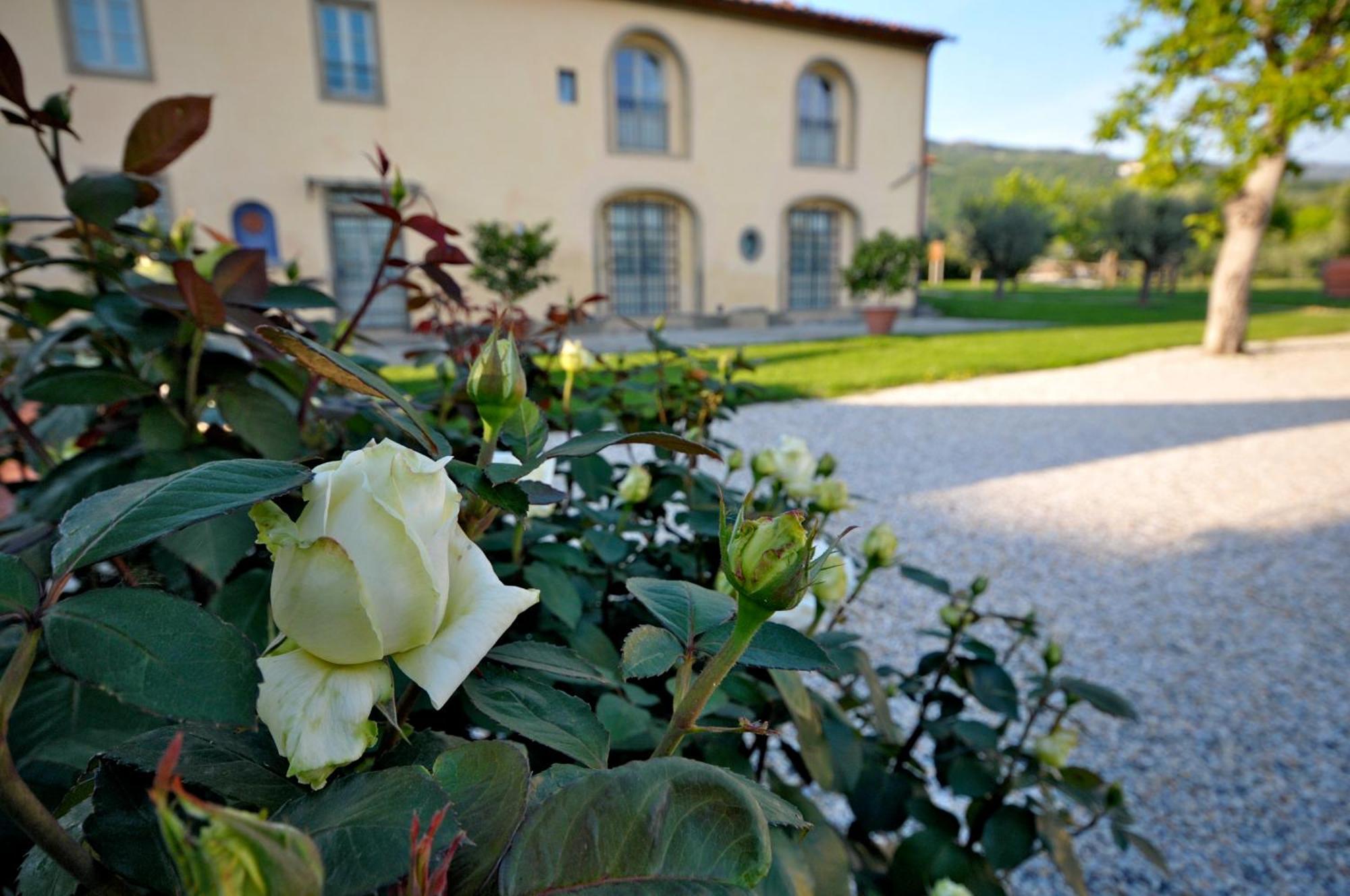 Agriturismo San Rocco بستويا المظهر الخارجي الصورة