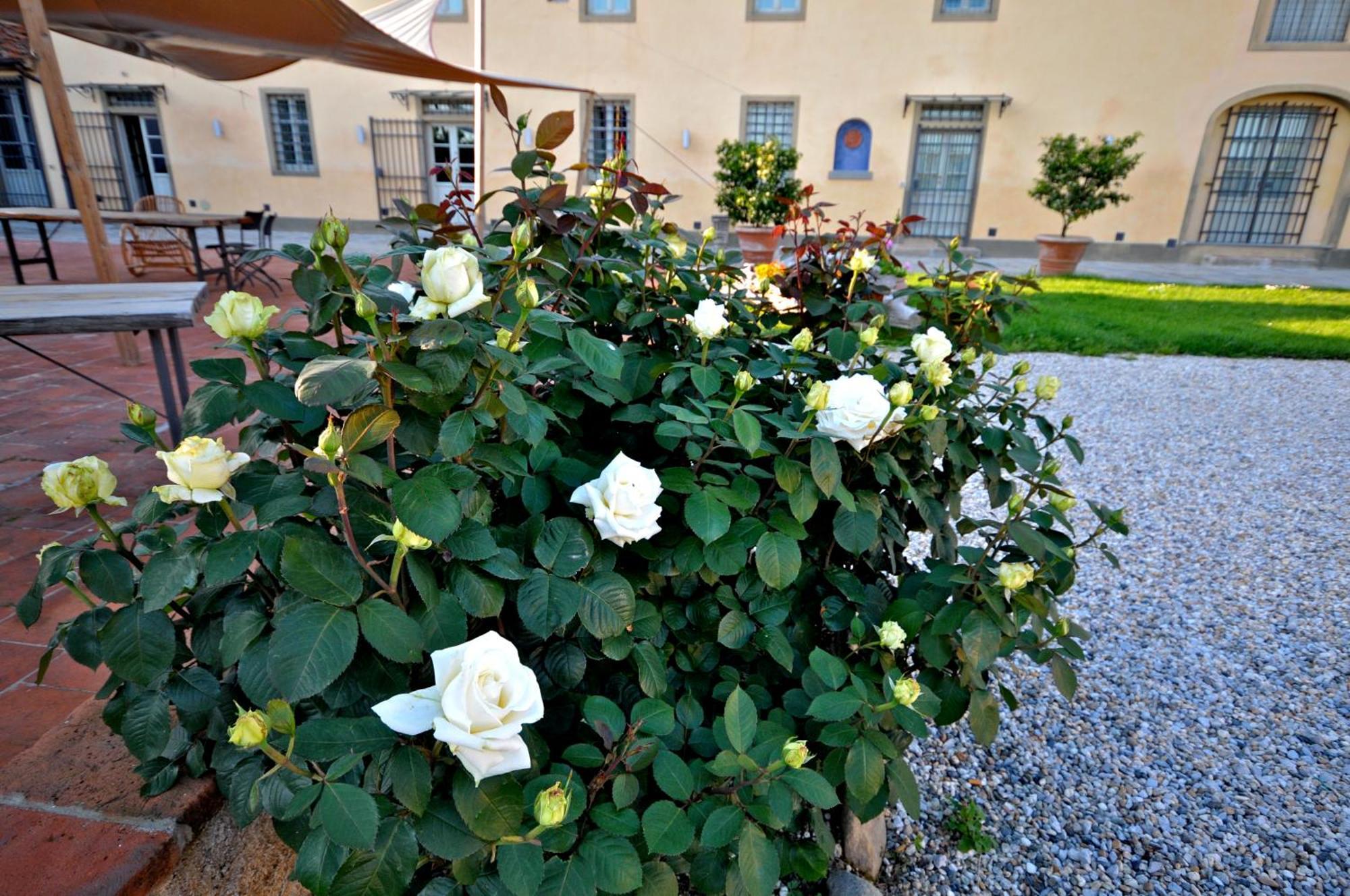 Agriturismo San Rocco بستويا المظهر الخارجي الصورة